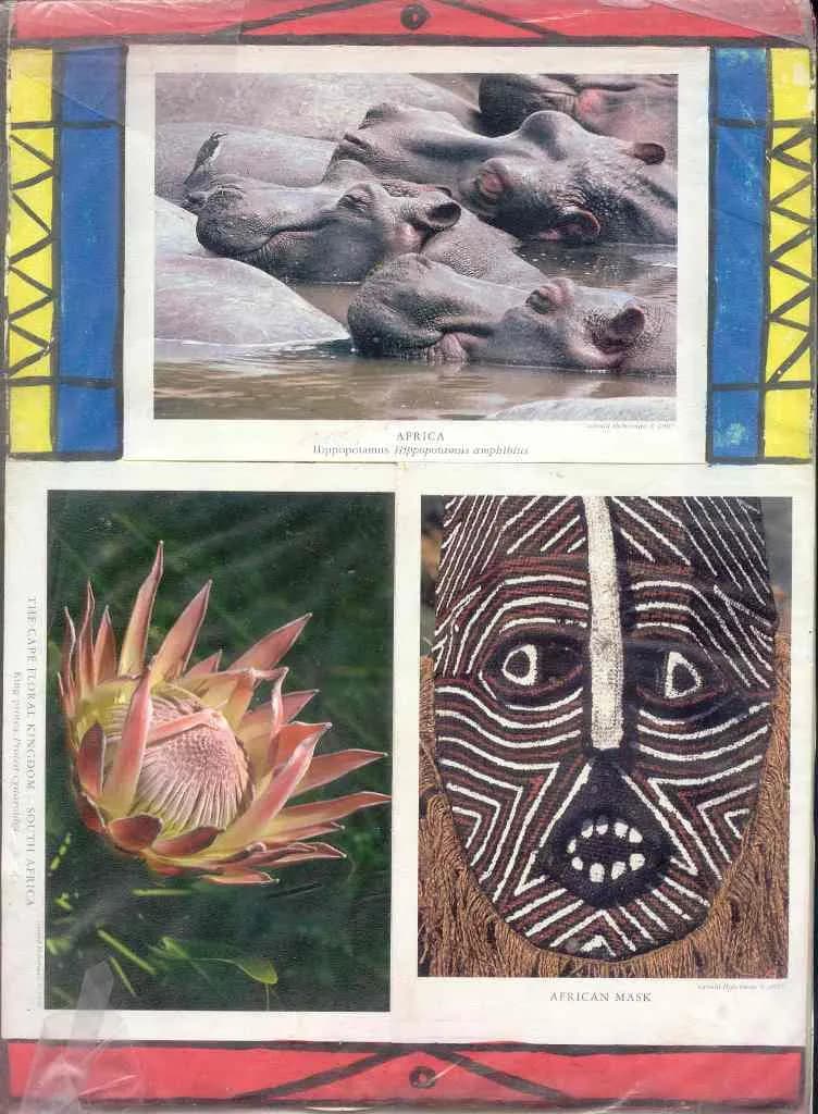 AFRIQUE DU SUD