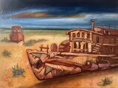 1 -Ouzbekistan bateaux échoués mer d'Aral H/T